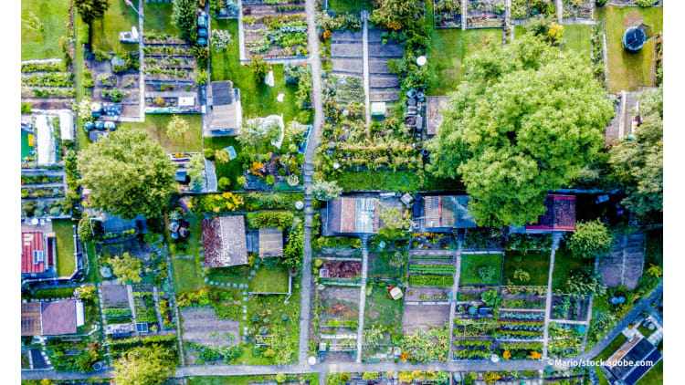 Keimzellen für die Transformation | Postwachstum Raumplanung