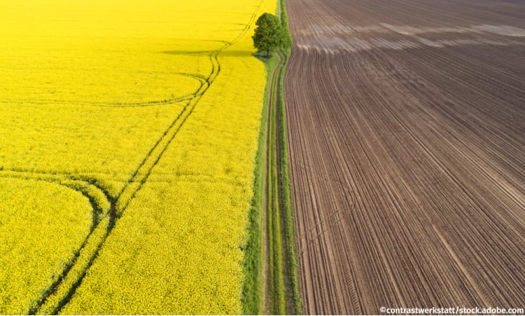 Die Ursachen für das Insektensterben | Landwirtschaft Kulturlandschaft Biodiversität