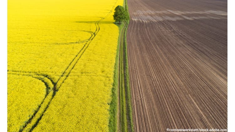 Die Ursachen für das Insektensterben | Landwirtschaft Kulturlandschaft Biodiversität