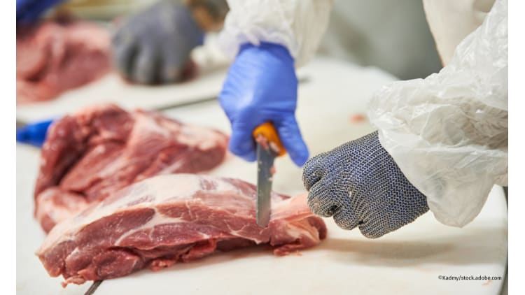 Maximale Ausbeutung für maximalen Gewinn | Landwirtschaft Fleisch