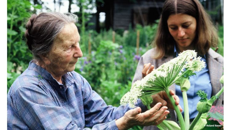 Mit einem guten Plan zu gesundem Gemüse | Garten