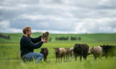 Bild zu Regenerative Landwirtschaft: Von einer guten Idee zu falschen Versprechen