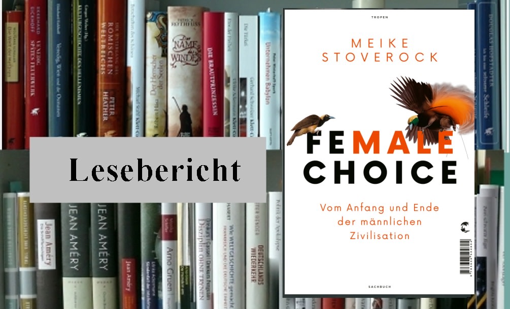 Lesebericht und Interview: Meike Stoverock, Female Choice. Vom Anfang und Ende der männlichen Zivilisation