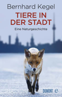 Tiere in der Stadt