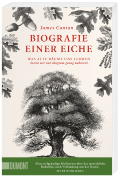 Biografie einer Eiche