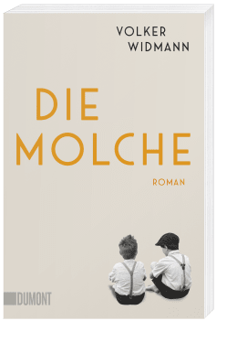 Die Molche