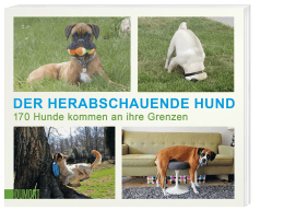 Der herabschauende Hund