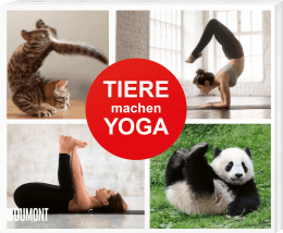 Tiere machen Yoga