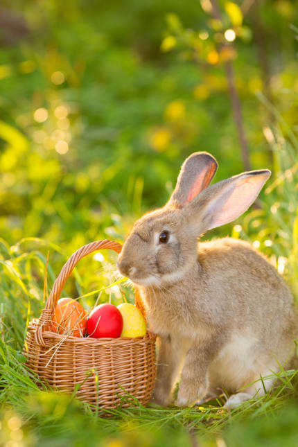 Frohe Ostern!