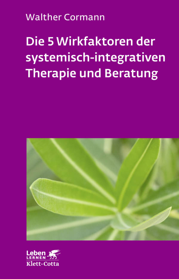 Die 5 Wirkfaktoren der systemisch-integrativen Therapie und Beratung