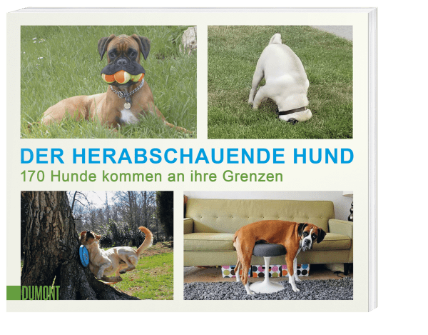 Der herabschauende Hund