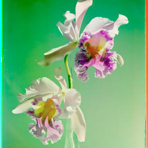 Werner Bischof | Park Books