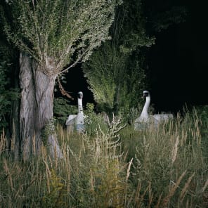 アート・デザイン・音楽 Dreamscapes : Dominic Buttner Amazon