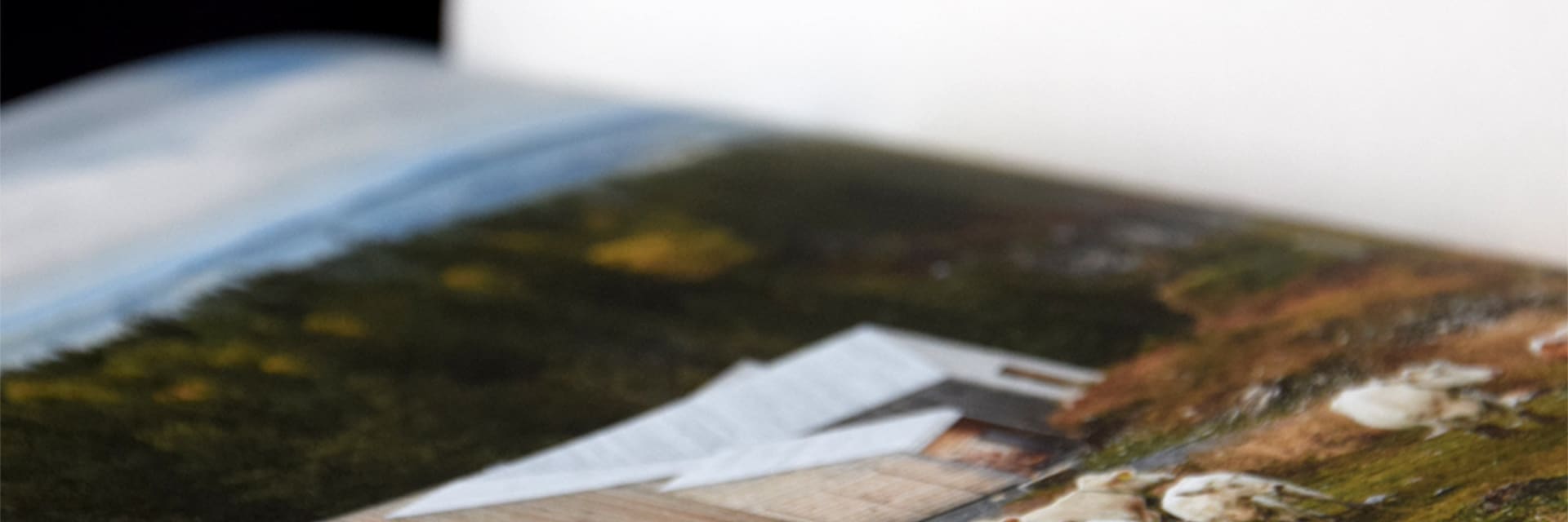 Eines der Schönsten Deutschen Bücher 2025