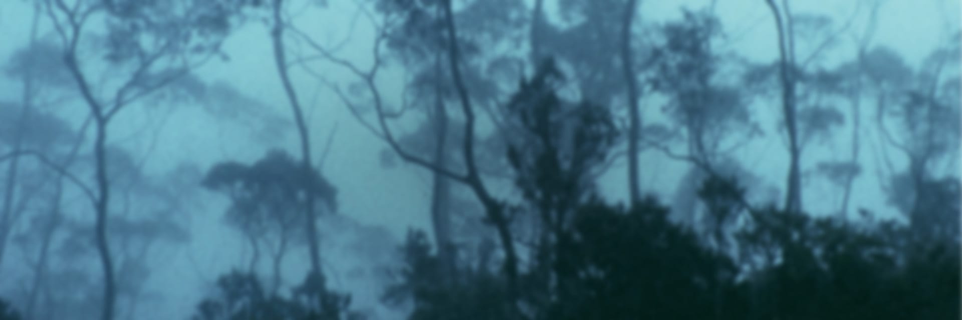 Sigmar Polke. Die Reise