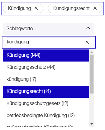 Filterfacette Schlagworte Onlineshop Stämpfli Verlag