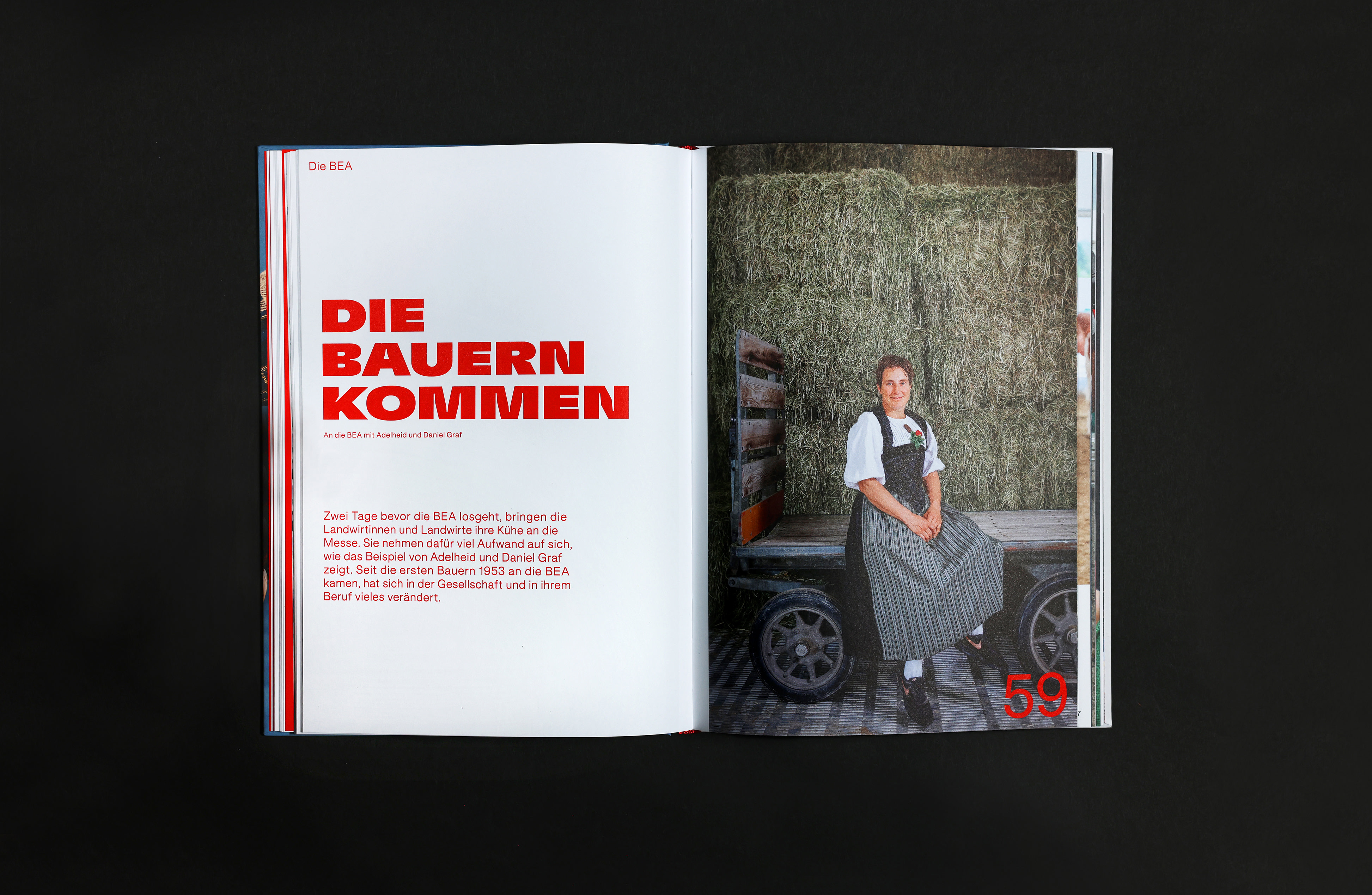 Zwei Inhaltsseiten BEA-Buch "Die Bauern kommen" Stämpfli Verlag