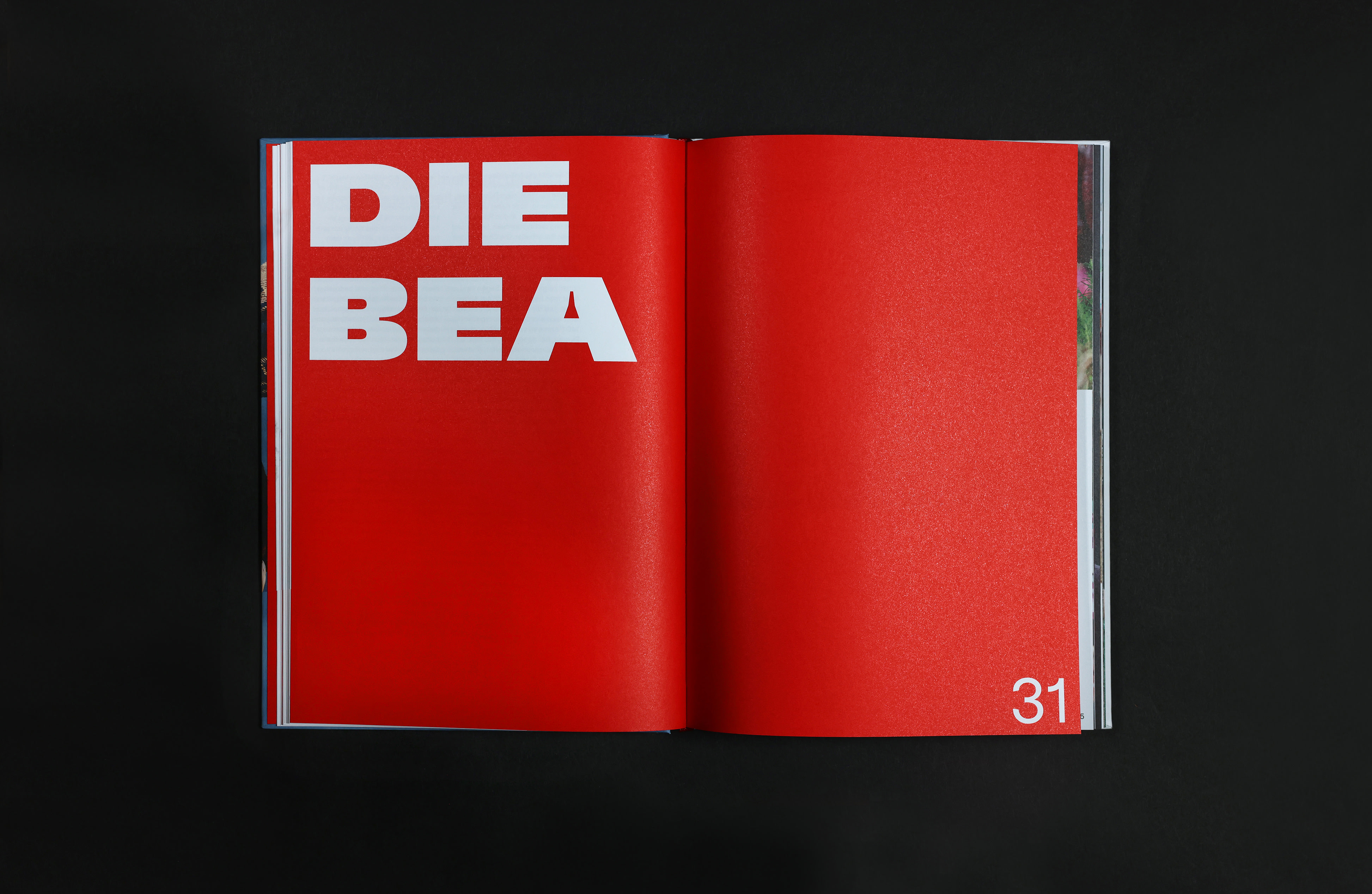 Inhaltsseiten BEA-Buch "Die BEA" Stämpfli Verlag