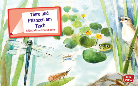 Tiere und Pflanzen am Teich. eKami. Entdecken Erzählen Begreifen