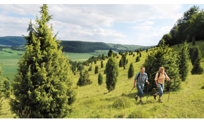Bild zu Urlaub im Rhön Park Aktiv Resort gewinnen