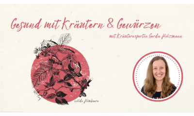 Bild zu Hagebutte, Sanddorn & Co. – die Kraft der Beeren