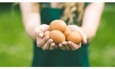 Bild zu 7 Tipps für einen bewussten Eierkonsum