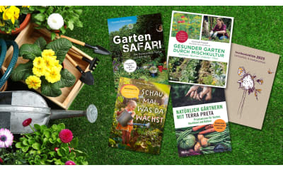 Bild zu Ökologisch und nachhaltig gärtnern: Unsere Buch-Tipps
