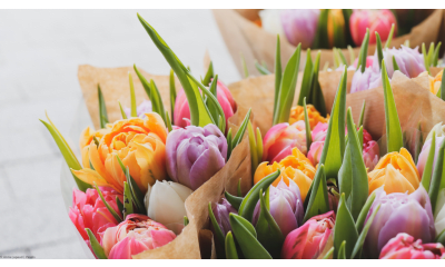 Bild zu Wie nachhaltig sind Schnittblumen?