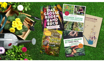 Bild zu Ökologisch und nachhaltig gärtnern: Unsere Buch-Tipps