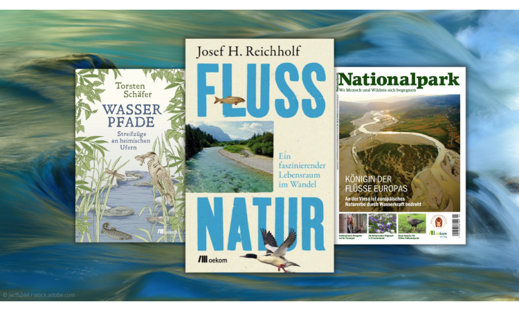 Gewässer im Klimawandel: 6 Lesetipps zu Renaturierung, Hochwasserschutz und mehr | Gewässerschutz Fluss Klimawandel Hochwasser Hochwasservorsorge Hochwasserschäden Renaturierung Landschaftsplanung Wasser Wasserrahmenrichtlinie Wasserökonomie Wasserwirtschaft Wasserpolitik