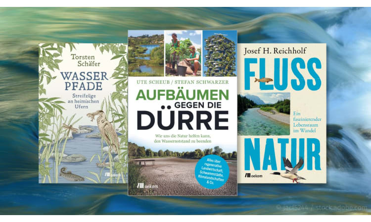 Gewässer im Klimawandel: 7 Lesetipps zu Renaturierung, Hochwasserschutz und mehr | Gewässerschutz Fluss Klimawandel Hochwasser Hochwasservorsorge Hochwasserschäden Renaturierung Landschaftsplanung Wasser Wasserrahmenrichtlinie Wasserökonomie Wasserwirtschaft Wasserpolitik