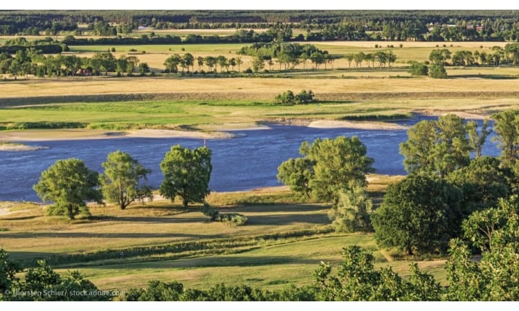 Der Wert der Auen: Natürliche Flussläufe sind der beste Hochwasserschutz | Fluss Naturschutz Renaturierung Artenvielfalt Umweltpolitik