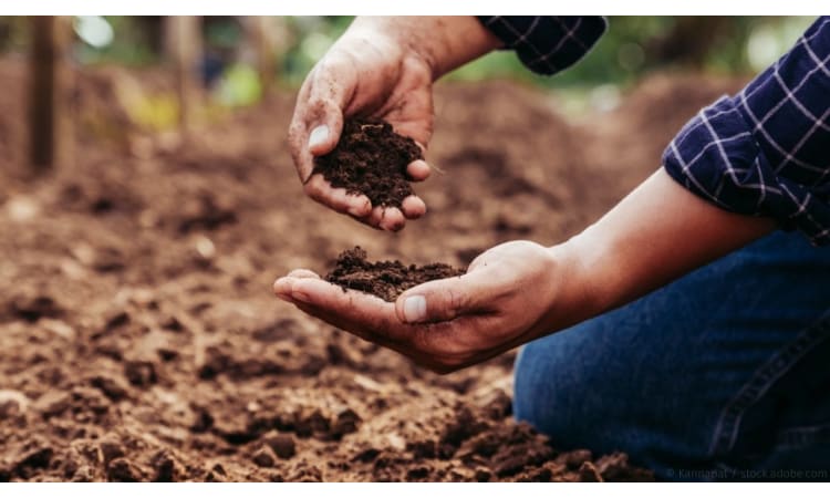 Gesunde Böden sind der Schlüssel im Kampf gegen Klimakrise und Artensterben | Boden Agrarpolitik ökologische Landwirtschaft Landwirtschaft Artenvielfalt Humus Agroforstsysteme