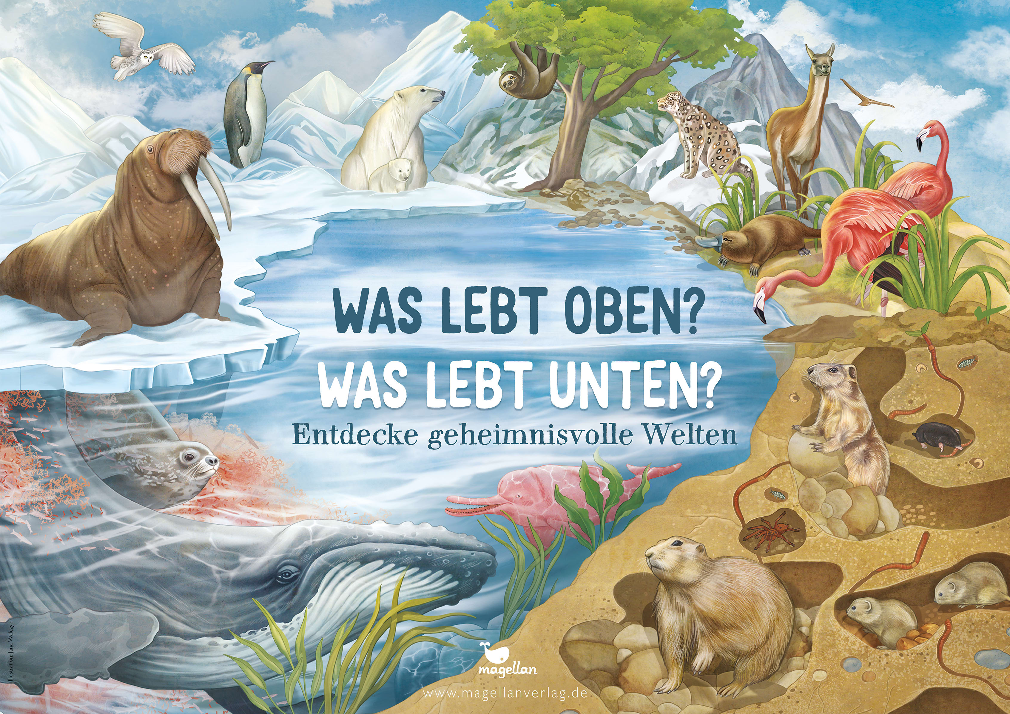Plakat "Was lebt oben? Was lebt unten?"