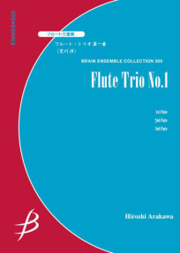 Flute Trio No.1