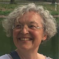Dorothea Stein-Bassler