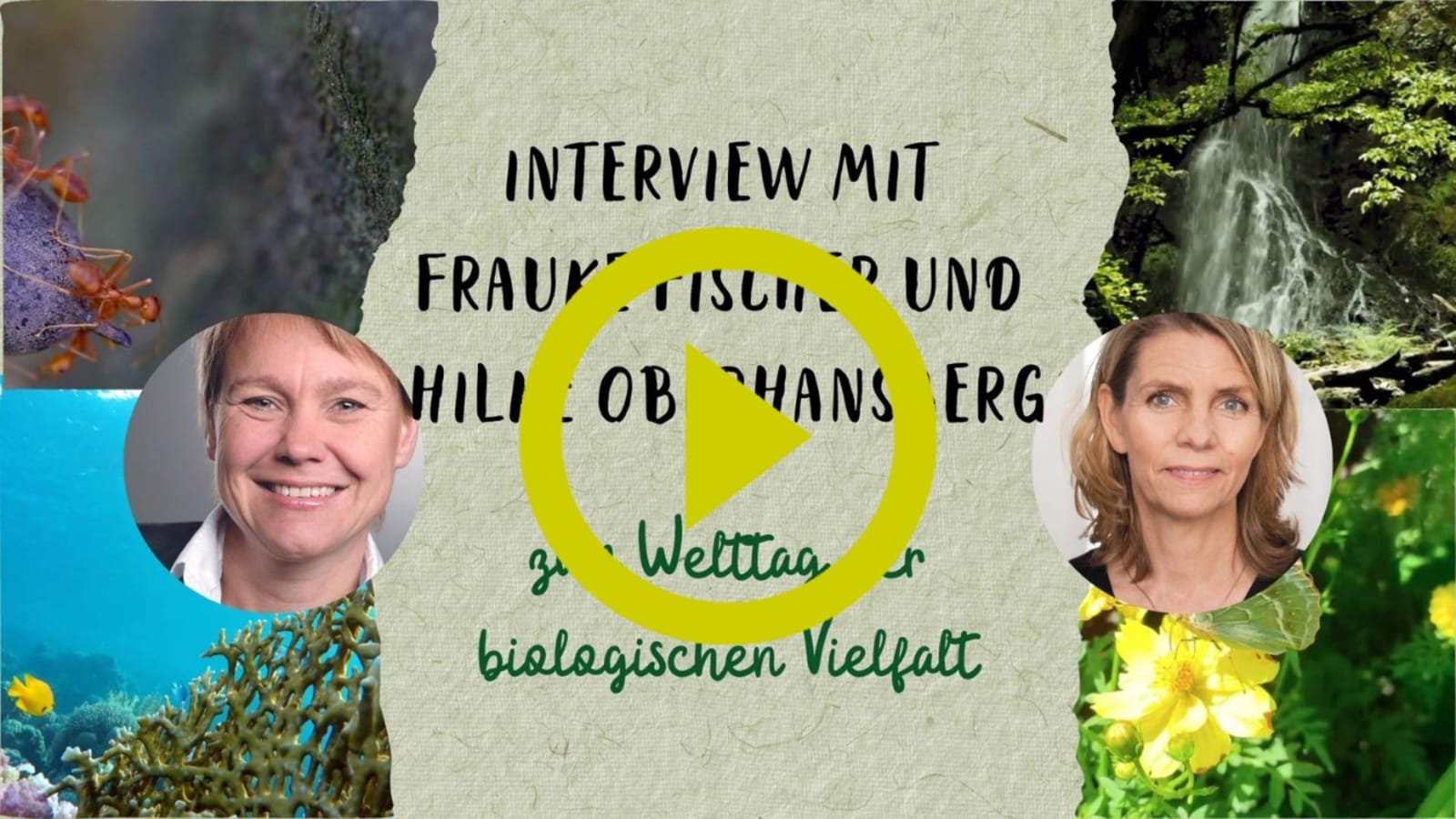 Mit Biodiversität gegen die Klimakrise | oekom verlag