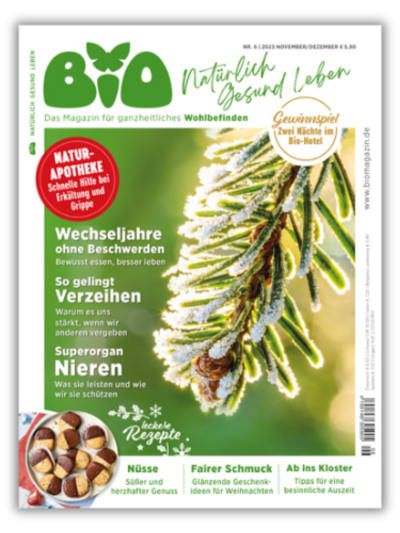 Cover vom BIO Magazin 6/23 mit einem Tannenzweigmotiv