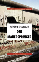 3973 Schneider, Der Mauerspringer