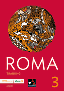 40036 ROMA B Training 3