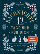 Cover 12 days of christmas