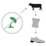 Grafik: durchgestrichener gefällter Baum, von dem ein Pfeil auf ein Rind, Leder und einen Schuh zeigt