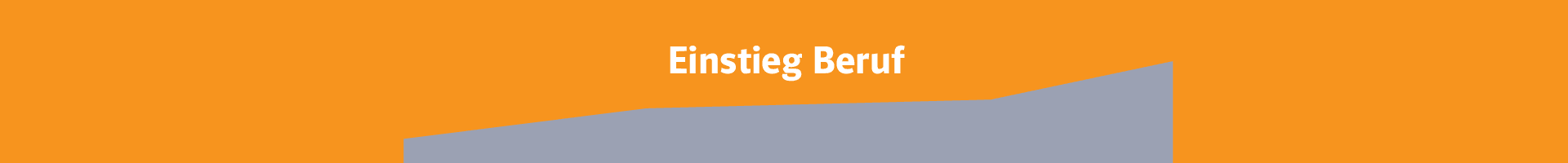 Einstieg Beruf