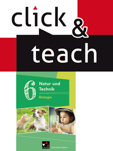660161 Natur und Technik: Biologie click & teach 6 EL