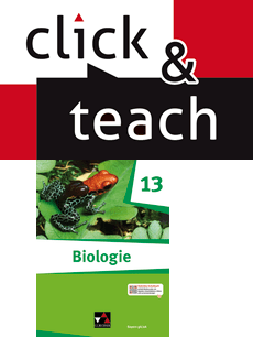 030191 Biologie Bayern click & teach 13 gA/eA EL