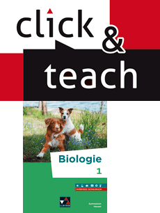  Biologie Hessen click & teach 1 EL