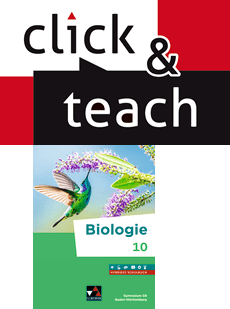  Biologie Baden-Württemberg G9 ab 2026 c&t 10 EL