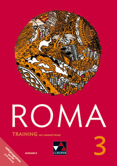 40036 ROMA B Training 3