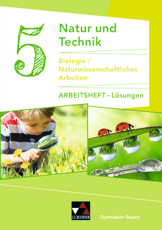 660211 Lösungen zum Arbeitsheft 5 (PDF)