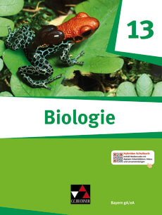 03013 Biologie Bayern 13